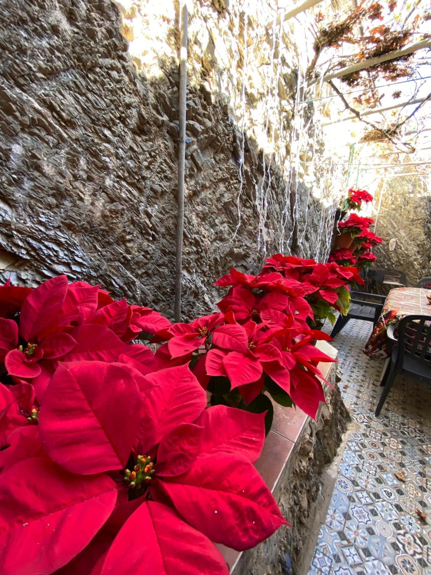Apartment Casa En Alcazaba